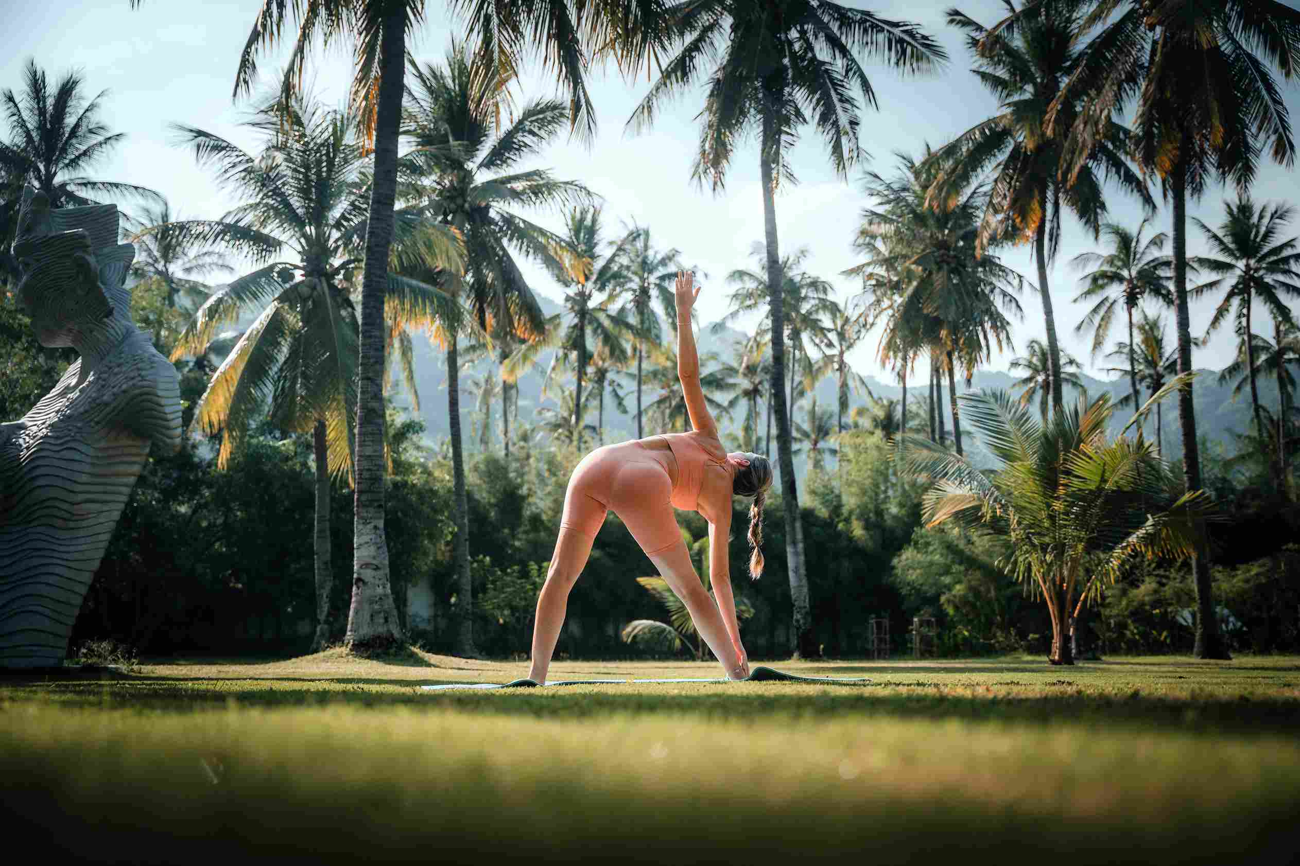 Gallery -  Gym  - new gym 3